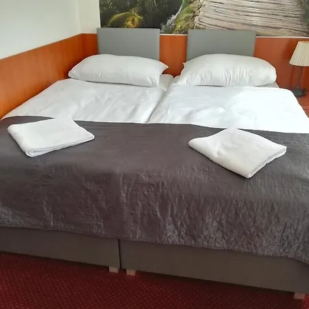 Hotel Zlata Vaha-3